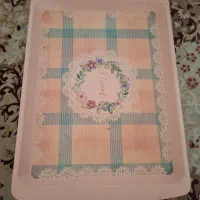 سینی پلاستیکی۳۰۰ هزارتومان