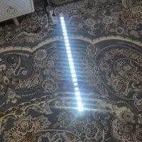 لامپ پر نور ال ای دی