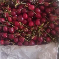 گیلاس فروشی