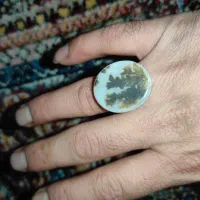 انگشتر فیروزه اصل و سنگ شجر قائنات|جواهرات|شیراز, دوکوهک|دیوار
