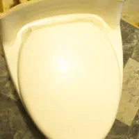 توالت فرنگی گلسار