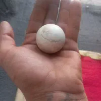 سنگ  وجواهرات