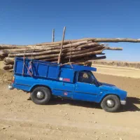 چوب سقفی شما رو به قیمت عمده به بالا ترین قیمت