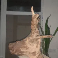 مجسمه کاملا طبیعی با اشکال مختلف