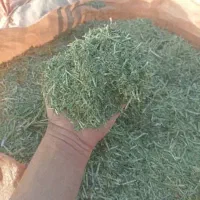 یونجه خردشده وپرس