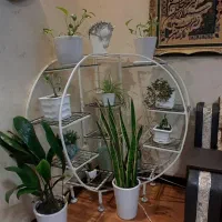 استند گلدان فلزی|گل و گیاه طبیعی|اهواز, کیان اباد|دیوار