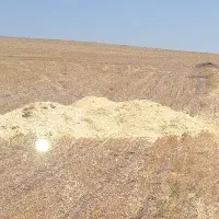 کاه سفید نرم