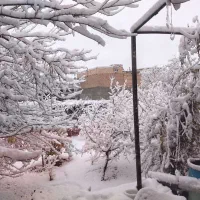 منزل-اجاره-ای