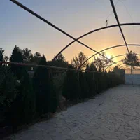 باغ۱۷۰۰متری جوزدان بهاران|فروش دفتر صنعتی، کشاورزی، تجاری|اصفهان, براآن شمالی|دیوار