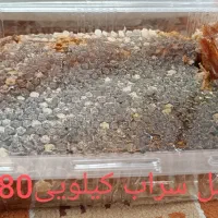 باقالی خشک|خوردنی و آشامیدنی|بهارستان, |دیوار