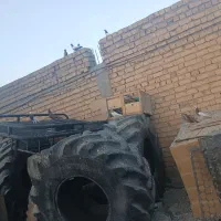 کبوتر|پرنده|مرودشت, دولت آباد|دیوار