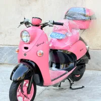 پاکشتی رنگارنگ ژاپنی