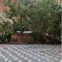 سوییت شبانه روزی