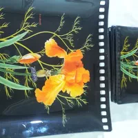 ظرف پذیرایی شیشه ای