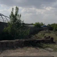 ابسرد پزشکان خیابان فرهنک