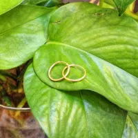 گوشواره های نمادار زیر گرم مناسب شب یلدا روز مادر|جواهرات|شیراز, شاهچراغ|دیوار