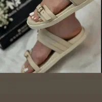 صندل|کیف، کفش، کمربند|سمنان, |دیوار