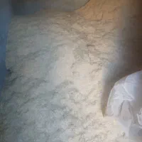 کاه گندم دیم