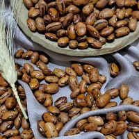 فروش لوبیا کاندایی با عیار بالا
