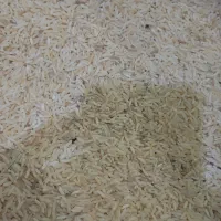 برنج|خوردنی و آشامیدنی|قشم, |دیوار