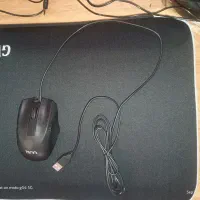 ماوس