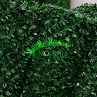 مرکز تخصصی فروش و نصب چمن مصنوعی(بی واسطه)|خدمات باغبانی و درختکاری|تهران, جماران (نیاوران)|دیوار