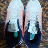 کفش|کیف، کفش، کمربند|آبیک, |دیوار