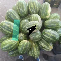 میدان بار میوه تره بار
