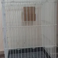 قفس پرنده