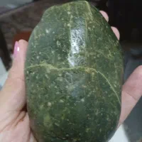 دردل طبیعت|جواهرات|رشت, آزادگان|دیوار