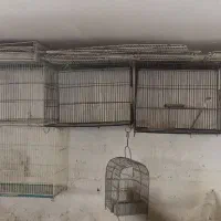 قفس پرنده|لوازم جانبی حیوانات|مانه, |دیوار