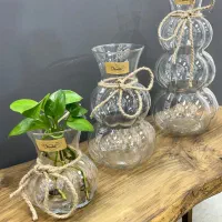 گلدان های شیشه ای