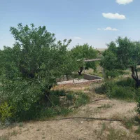 فروش باغ۵۶۰ متری محدوده پل زمانخان روستایی ش|فروش زمین و ملک کلنگی|اصفهان, آزادگان|دیوار