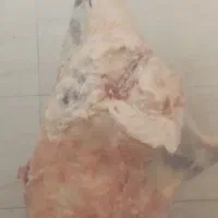 کهره بره قصابی کشتار هرروز