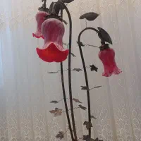 چراغ لاله|چراغ خواب و آباژور|اردبیل, |دیوار