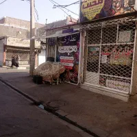 مغازه اجاره ای