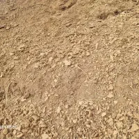 چرم گوسفند وگاوی