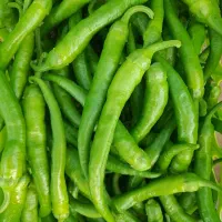 فلفل شمشیری