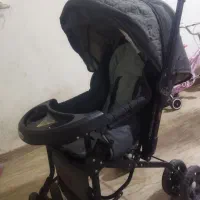 کالسکه دلیجان