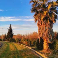 زمین-مسکونی-شهرکی-سنددار-با-پروانه-ساخت-ساحلی