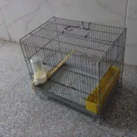 قفس غلامی