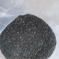 بذر پیاز قرمز