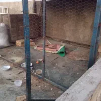 قفس آهنی