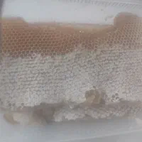 عسل خودبافت طبیعی