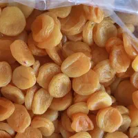 خانه قیسی و برگه زردآلو|خوردنی و آشامیدنی|تهران, باغ فیض|دیوار