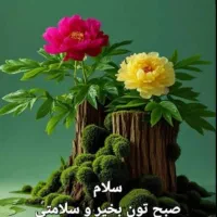 نگهداری کودک شش ساله