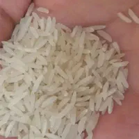 برنج فجر طارم محلی خوش پخت کم عطر