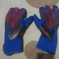 دستکش دروازه بانی
