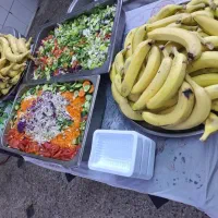 تورزیارتی مشهد وکربلا و مشهد با قطار