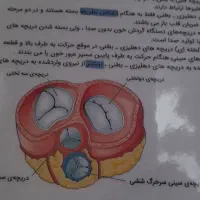 پوستر تجربی